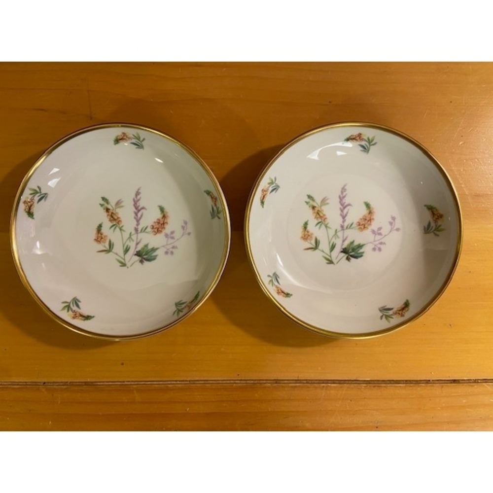 Edelstein Bavaria Malverne Wildflower Porcelain Small Bowls Set of 2 Germany